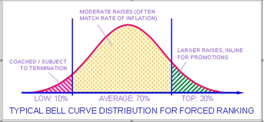 Employee Performance Curve