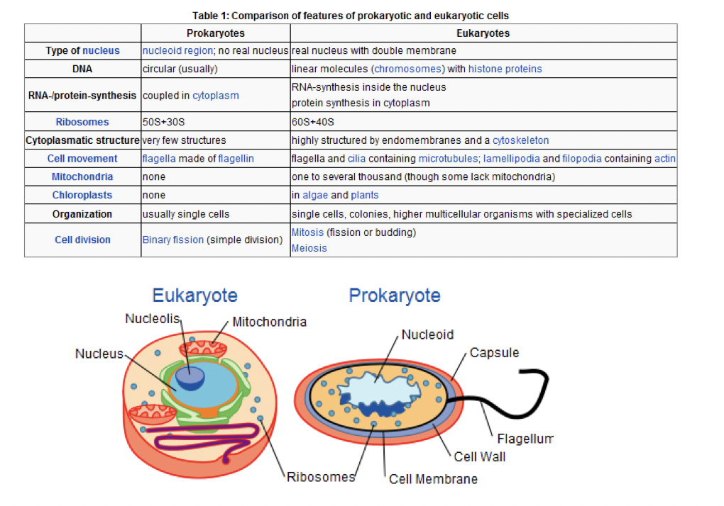 scientific paper methods example