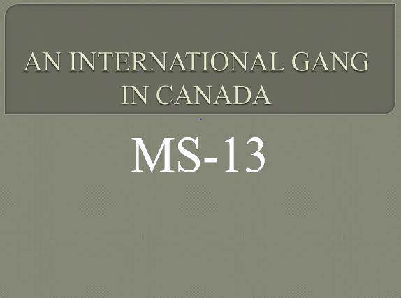 AN INTERNATIONAL GANG IN CANADA