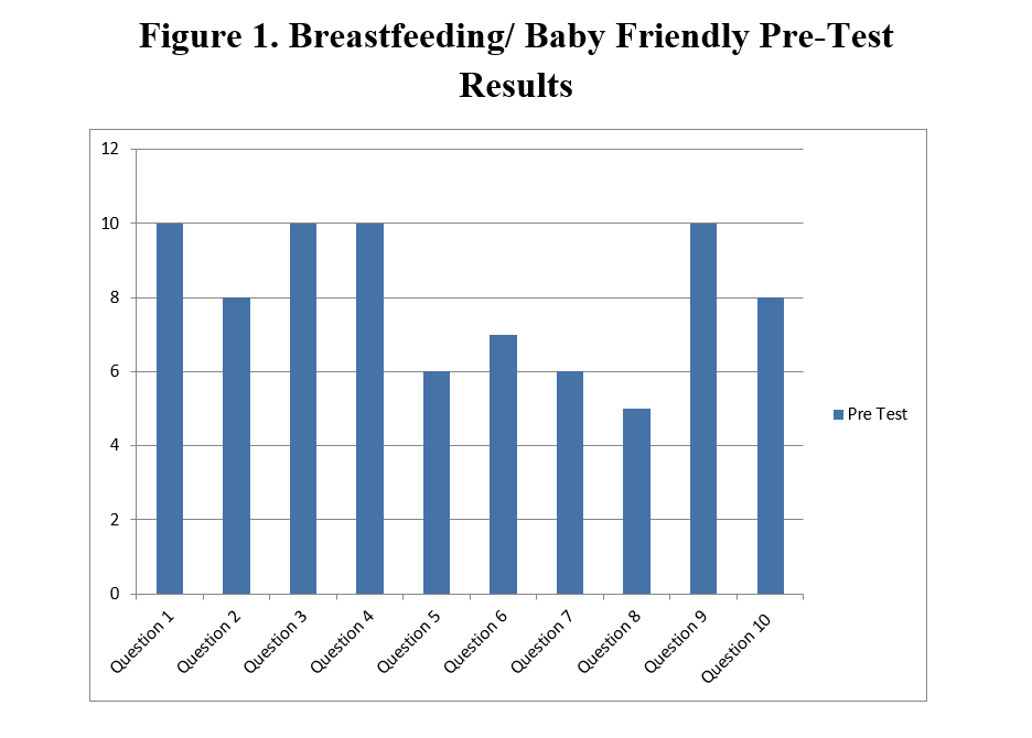 Breastfeeding Project Summary, Coursework Example