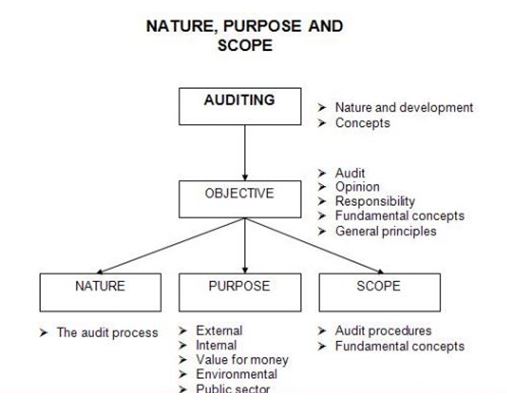 The Nature, Purpose and Scope of Audit