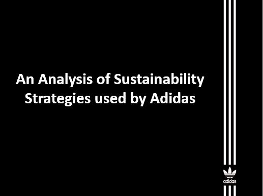 An Analysis of Sustainability Strategies