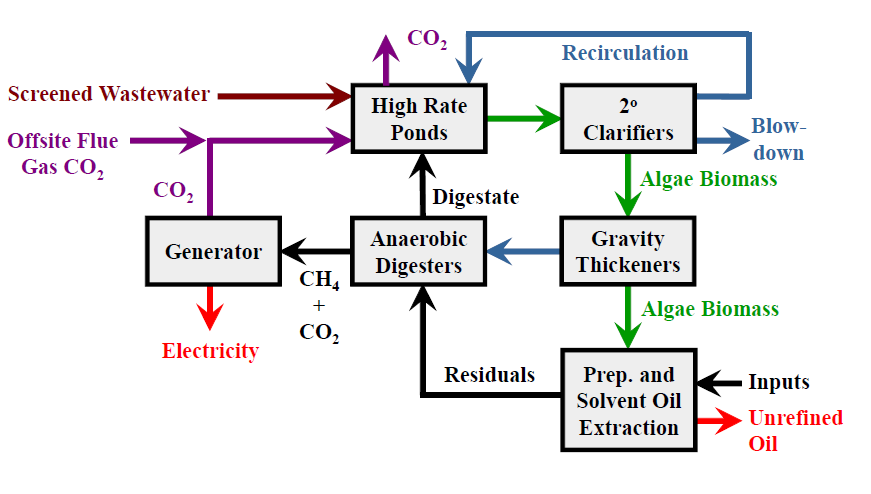 Bio Fuel MicroAlgae process