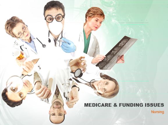 Medicare and Funding Issues, Power Point Presentation Example