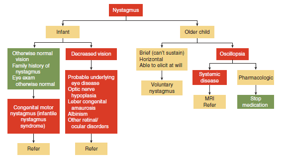 Nystagmus Evaluation Algorithm