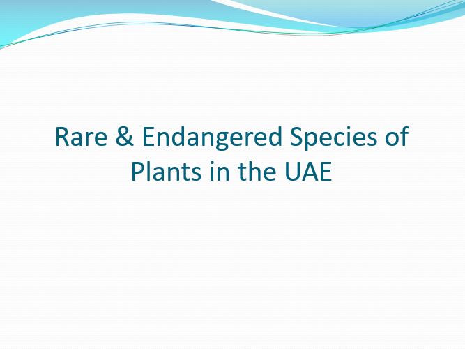 Rare & Endangered Species of Plants in the UAE