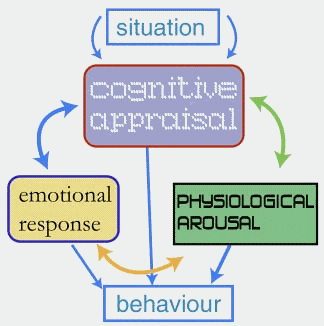 Example of Emotional Response through Cognition