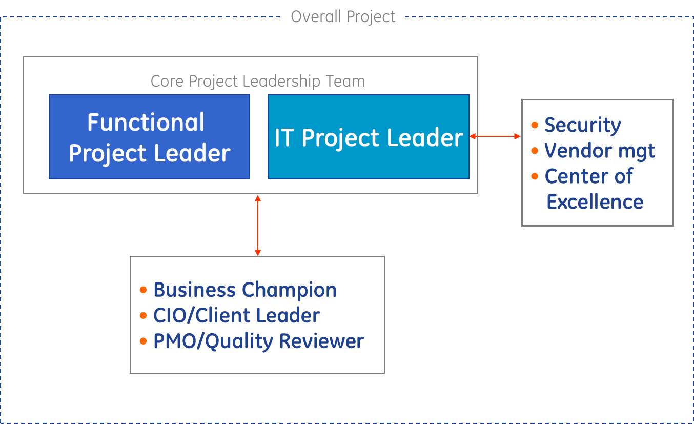 IT project leaders