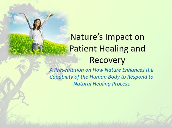 Nature’s Impact on Patient Healing and Recovery