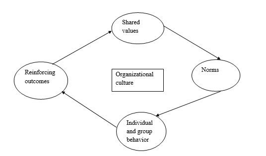 Organizational culture