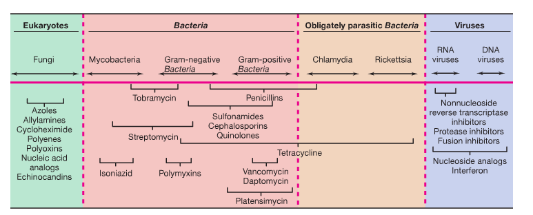 Represents the antimicrobial spectrum of action