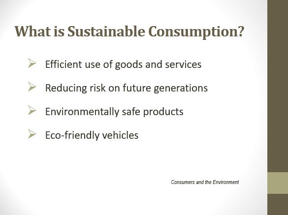 What is Sustainable Consumption.