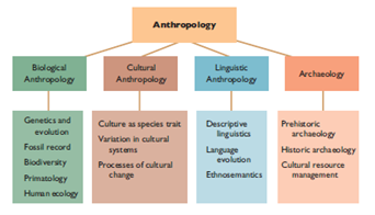 Components of Anthropology