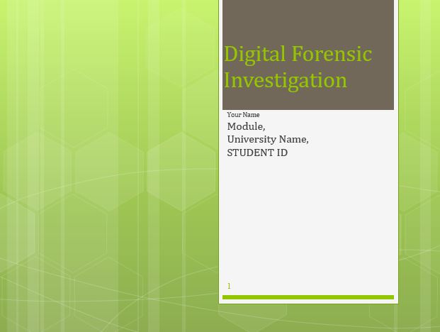 Digital Forensic Investigation