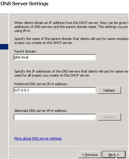 Figure 1.4 (DNS Server Settings)