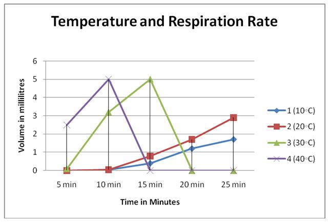 Temperature and Respiration Rate