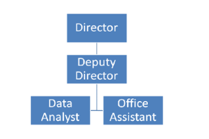 The Organizational Hierarchy