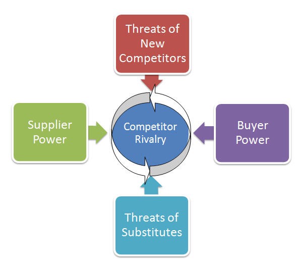 Social Networking Industries, Research Paper Example