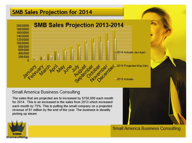 Small America Business Consulting