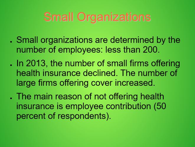 Small Organizations