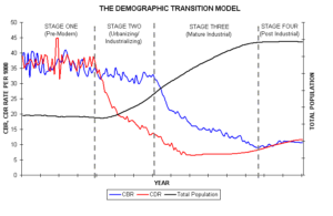 demographic transition essay