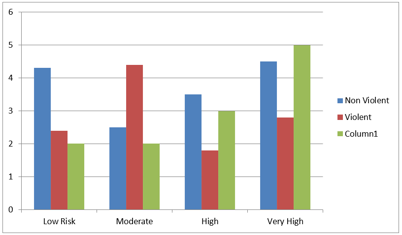 A typical initial risk report 