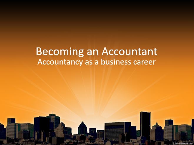 Accountancy as a business career
