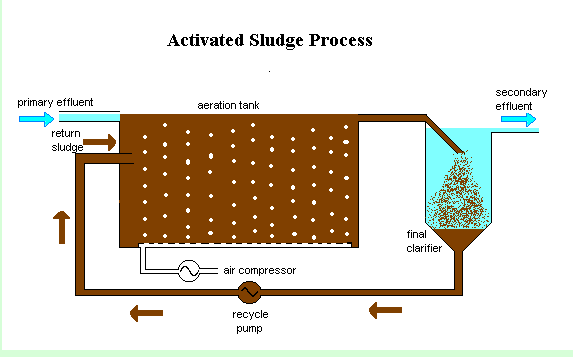 Activation Sludge Process