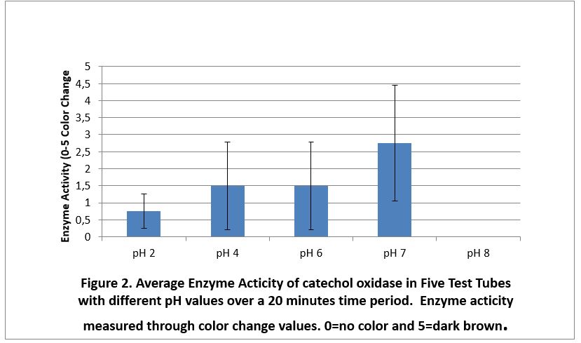 Average Enzyme Acticity of catechol