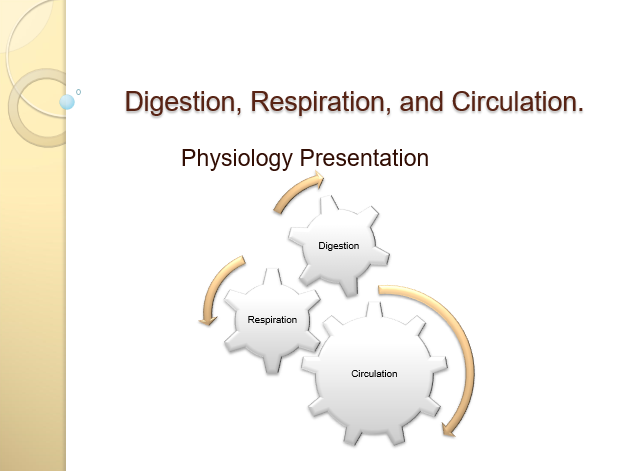 Digestion, Respiration, and Circulation