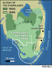 Everglades Area Change over Time 