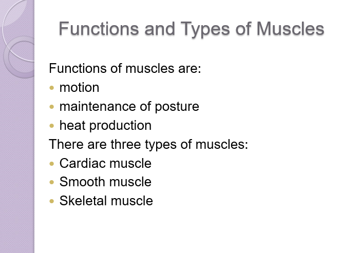 Functions and Types of Muscles