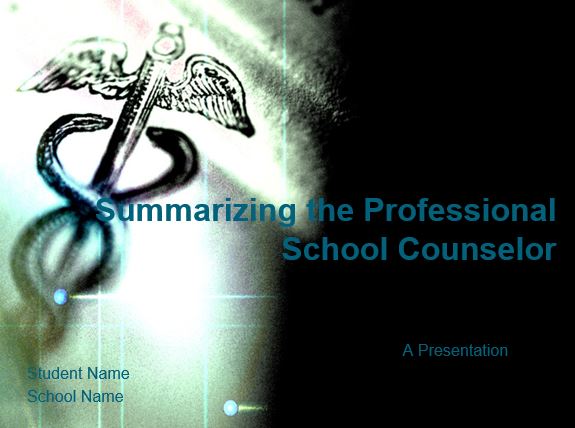 Summarizing the Professional School Counselor
