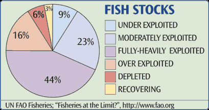 Graph showing declining fish stocks