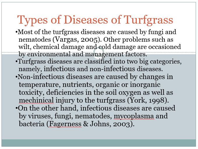 Types of Diseases of Turfgrass