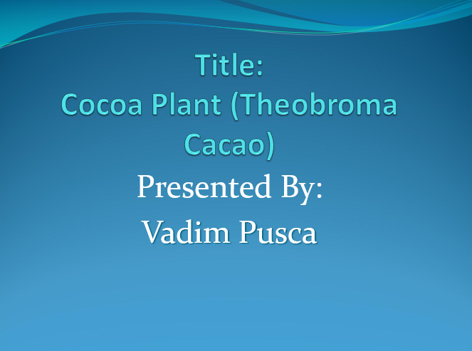 Cocoa Plant (Theobroma Cacao)