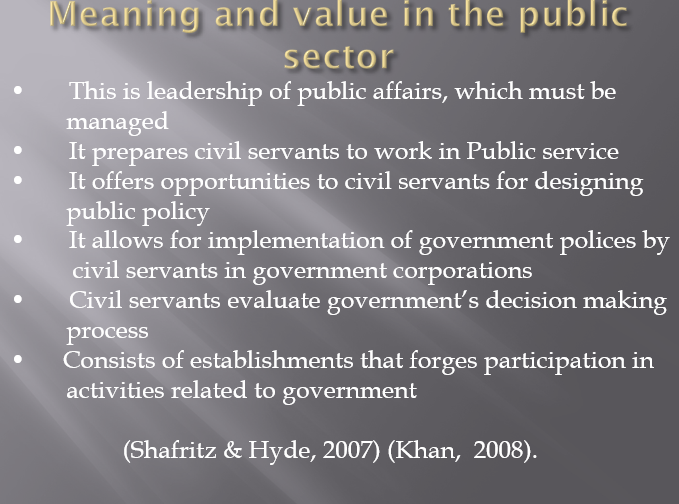 Meaning and value in the public sector