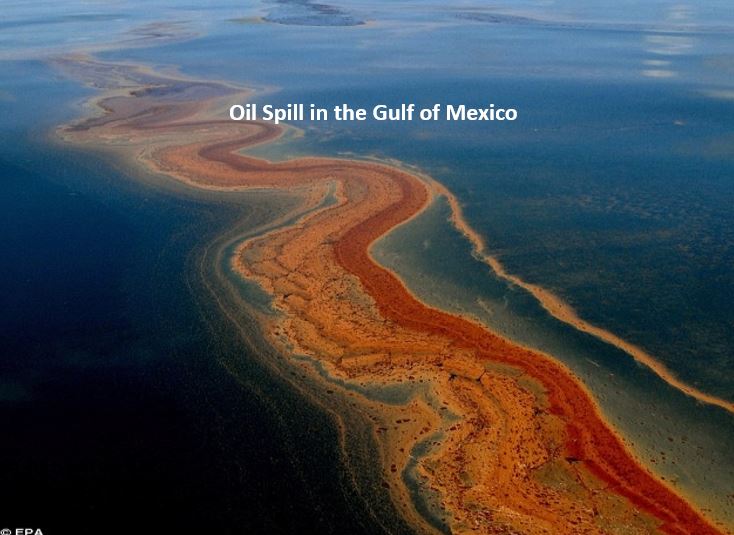 Oil Spill in the Gulf of Mexico