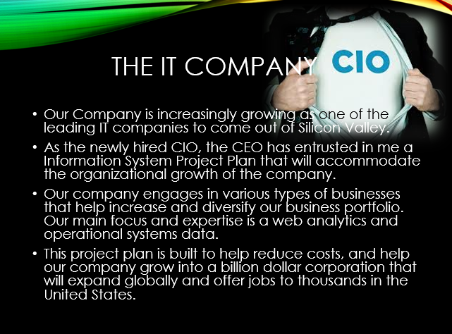The IT Company