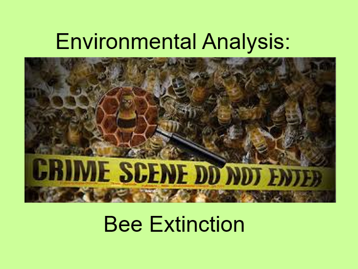 Bee Extinction