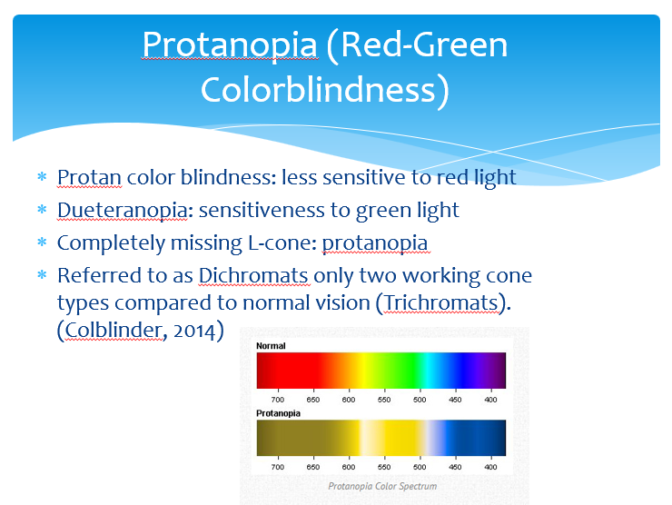 Protanopia (Red-Green Colorblindness)