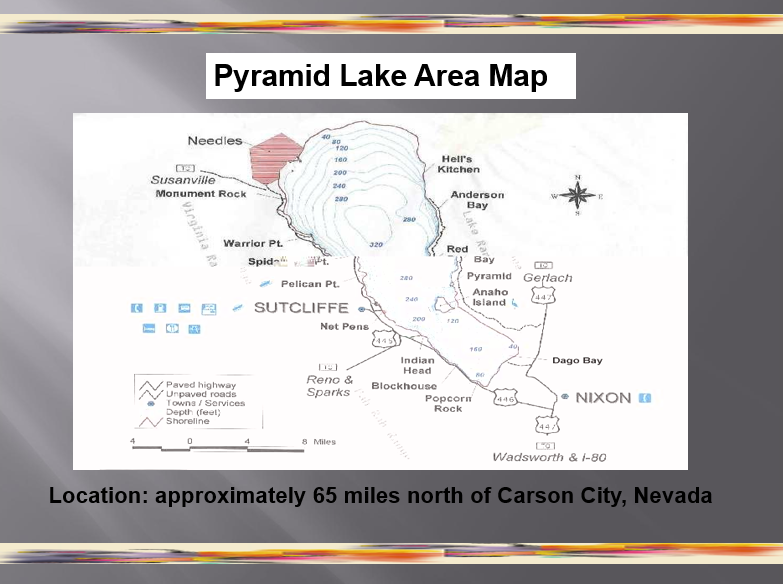 Pyramid Lake Area Map