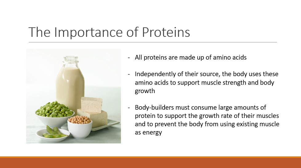 The Importance of Proteins